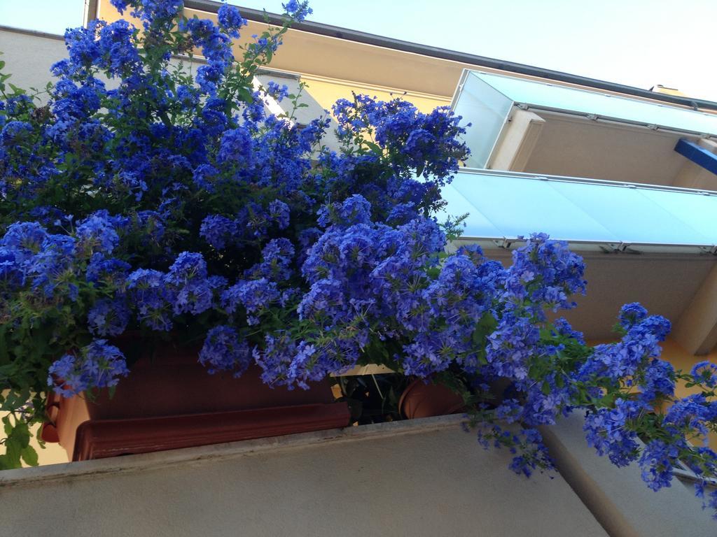 Hotel Vienna Senigallia Luaran gambar